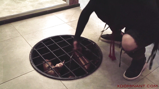 XDOMINANT - The Anal Inquisition