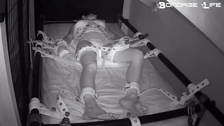 BondageLife	Rachel Greyhound - Segufix Nap (Diapered Edition)