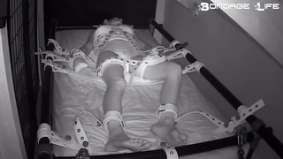 BondageLife	Rachel Greyhound - Segufix Nap (Diapered Edition)