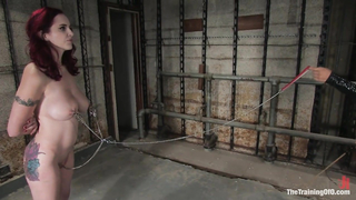 TRAINING OF O - The Training of Berlin, Day One 1