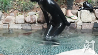 Studio Bling	Latex_02 Bunny Latex in Hot spring