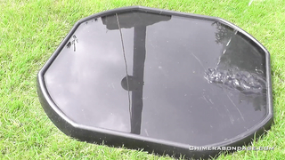 Chimera Bondage	2014 c 01 200