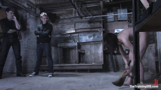 TheTrainingOfO - Dana DeArmond