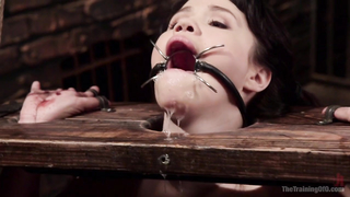 TheTrainingOfO - Yhivi 2