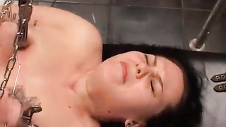 MASTER SERPENT Linda v10