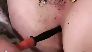 INSEX - Apt 101 (411)