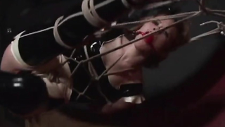 Gwen Media Purging Protocol - Paige Richards, Madison Young, Mary Jane and Victoria L