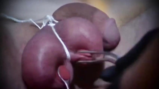 Gwen Media Sessions 15 - Vima & Kade